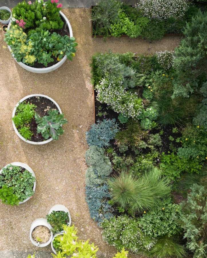 An overhead view of a garden courtyard with round white pots of herbs and vegetables beside a densely planted bed.