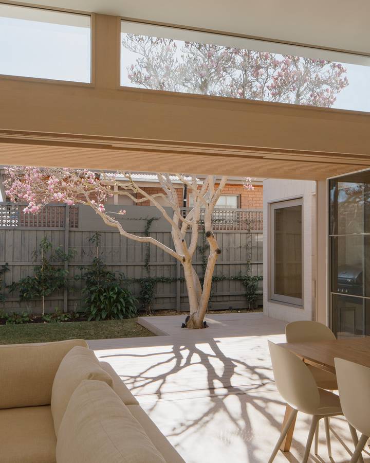 A living room with a clerestory window looking out to a magnolia tree in a paved courtyard.