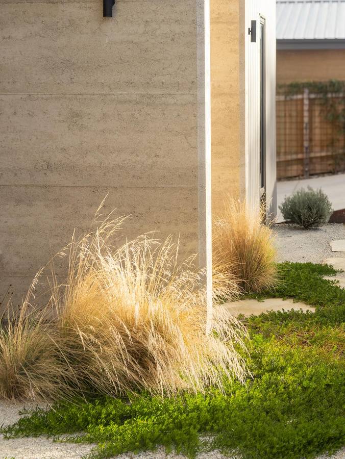 A pale rammed earth wall with tussock grasses and low green groundcover at its base, and a gravel path leading past a building beyond.