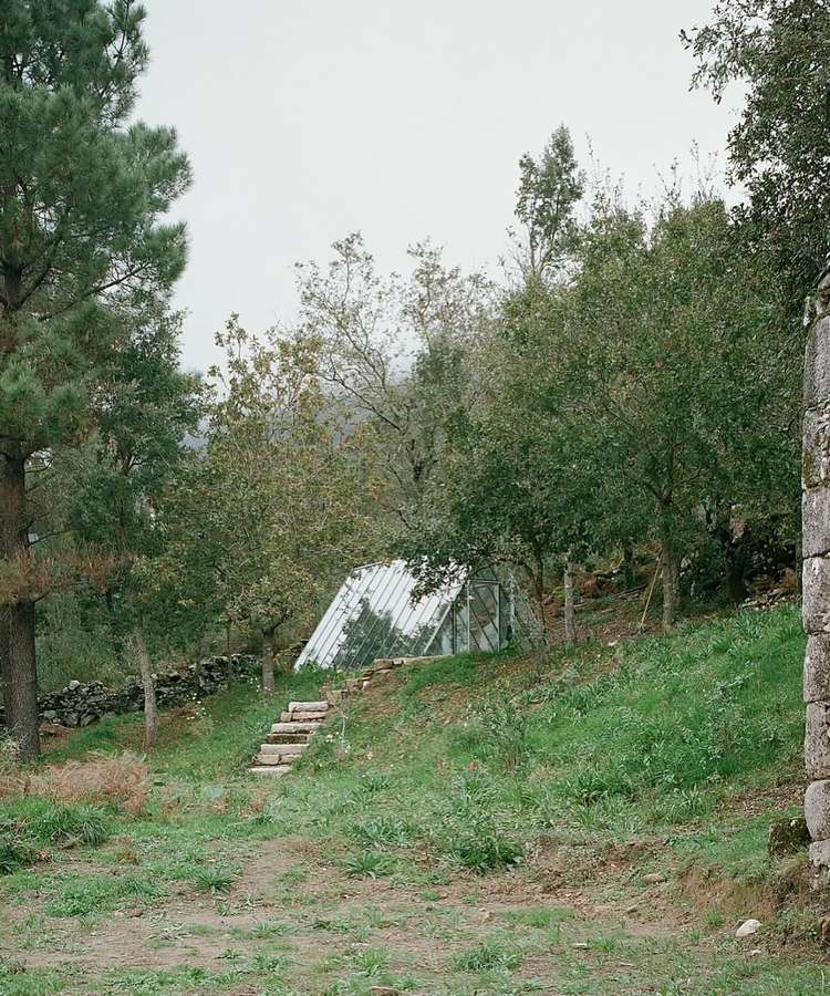A grassy hillside with olive trees and stone walls, and a low glass roofed building set into the slope above stone steps.