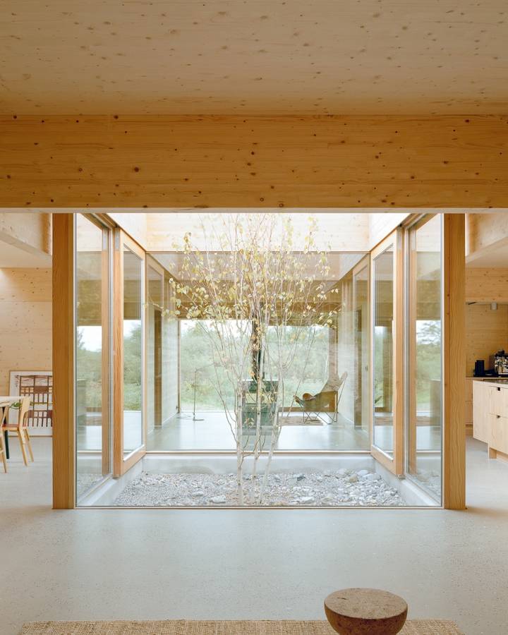 A pale timber lined room looking through full height glazing to a gravel courtyard with a small tree.
