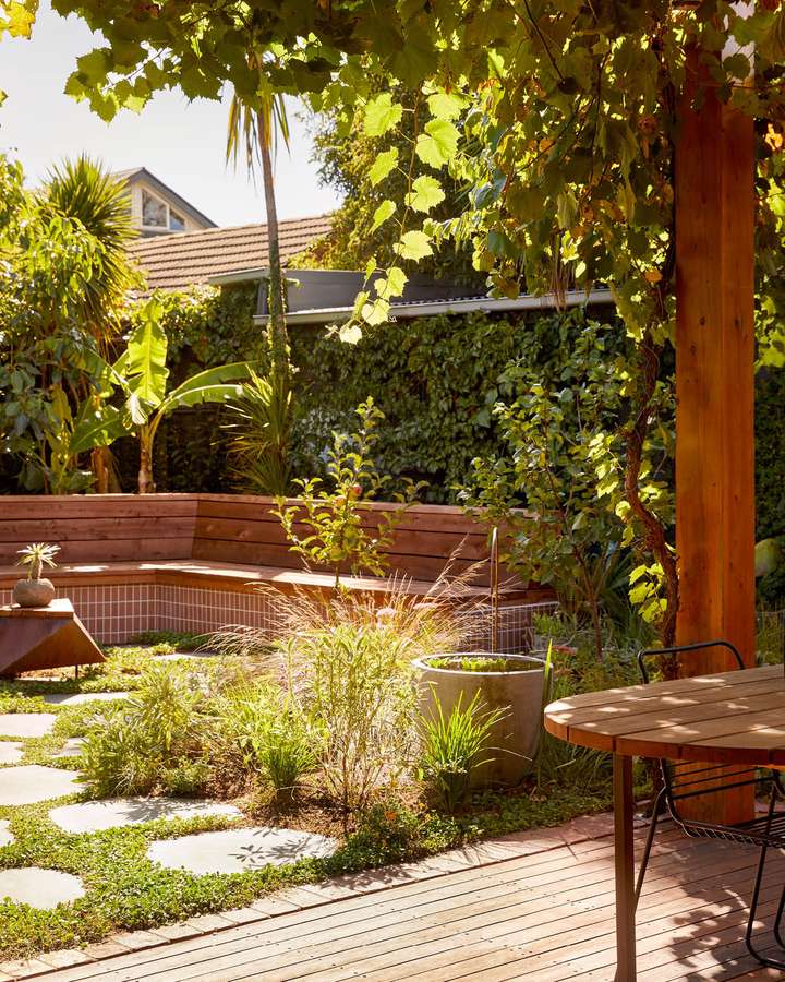 A backyard under a grapevine pergola, with a built-in timber bench on a base of pink tiles, stepping stones through groundcover and a deck with a table.