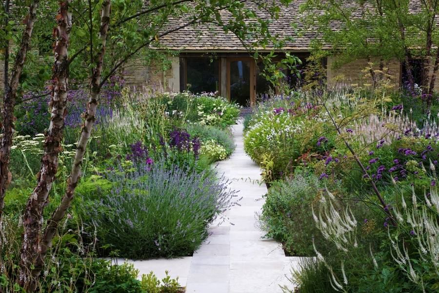 A path of pale stone slabs between deep beds of lavender, verbena and birches, leading to a stone barn.