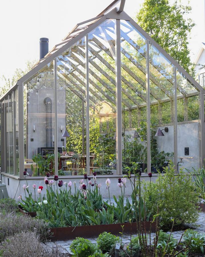 A pitched glasshouse with a pale painted frame beside a rendered wall, with tulips and herbs in beds in front of it.