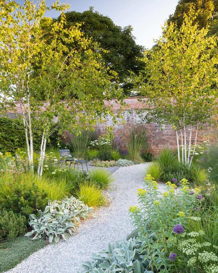 A walled garden with birches, grasses and perennials either side of a gravel path, and a metal chair on paving in front of a brick wall.