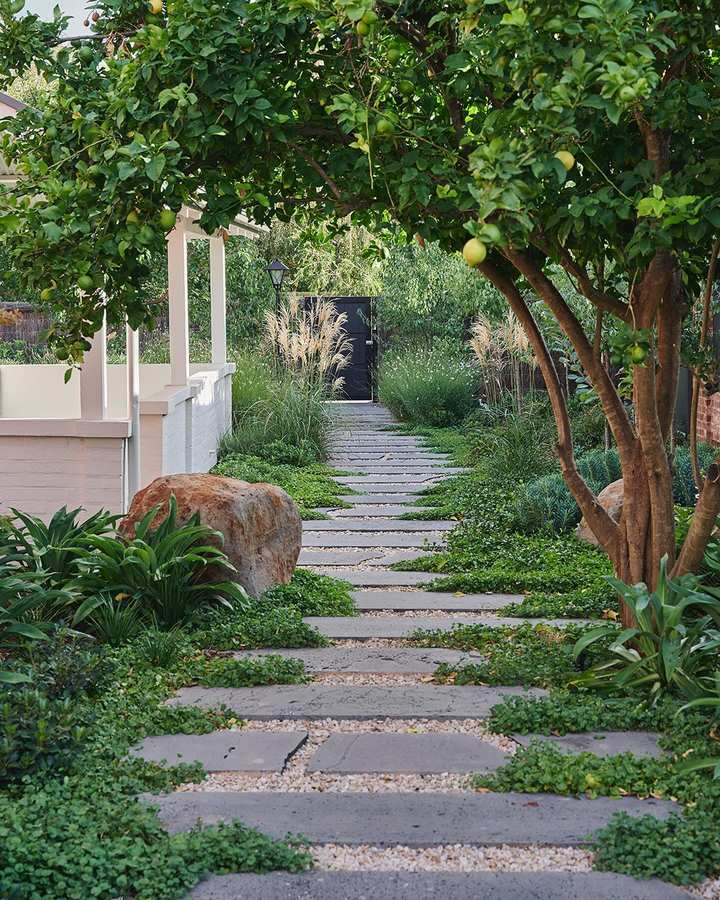 A path of stone slabs and gravel climbing between planting and a lemon tree towards a dark gate.