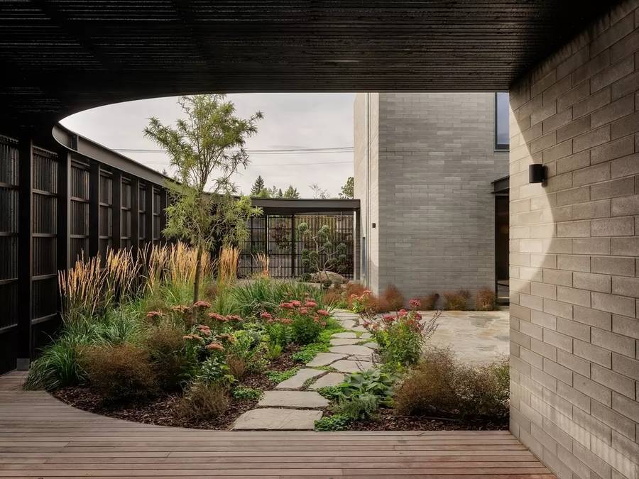 A planted courtyard seen from under a deep undercroft with a curved edge, with grasses, stepping stones and a timber deck.