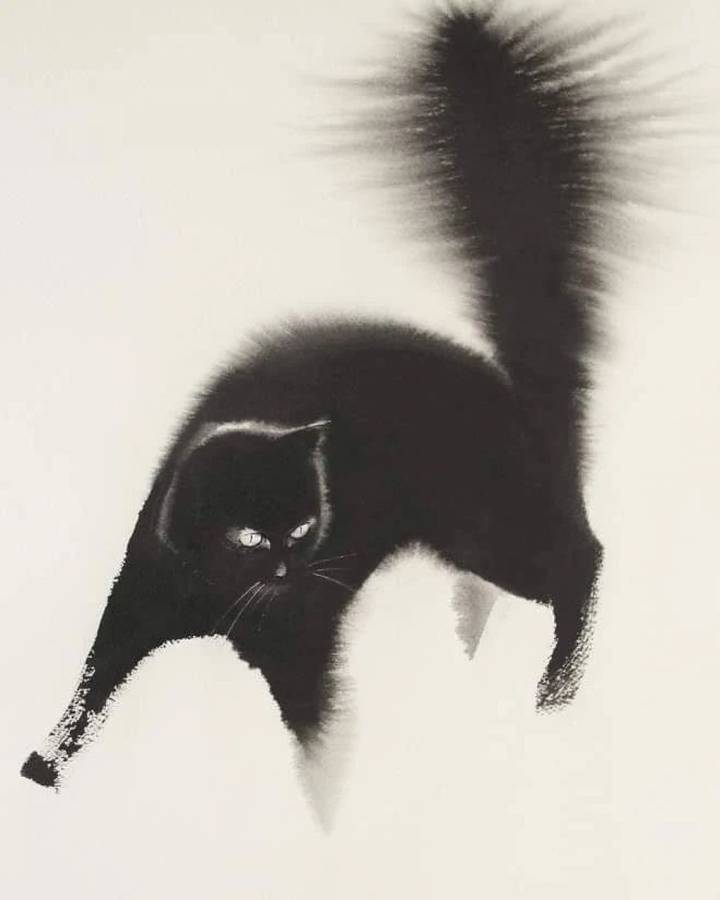 An ink drawing of a black cat with its tail raised, its edges bleeding into the pale ground.