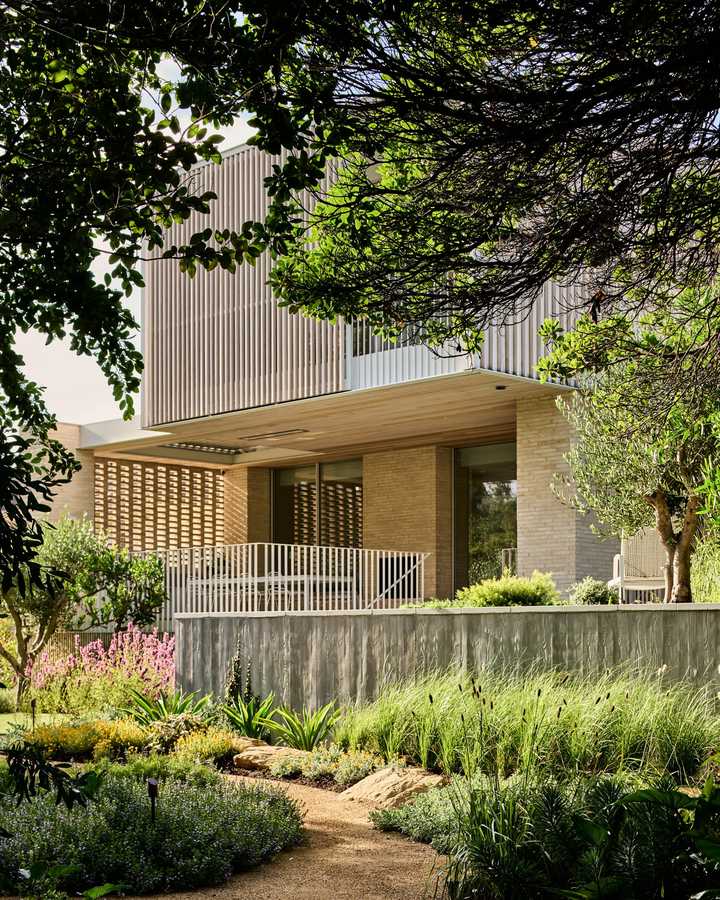 A pale brick and timber house with a slatted upper storey seen across a garden of grasses, salvias and olive trees, with a gravel path and a board formed concrete wall.