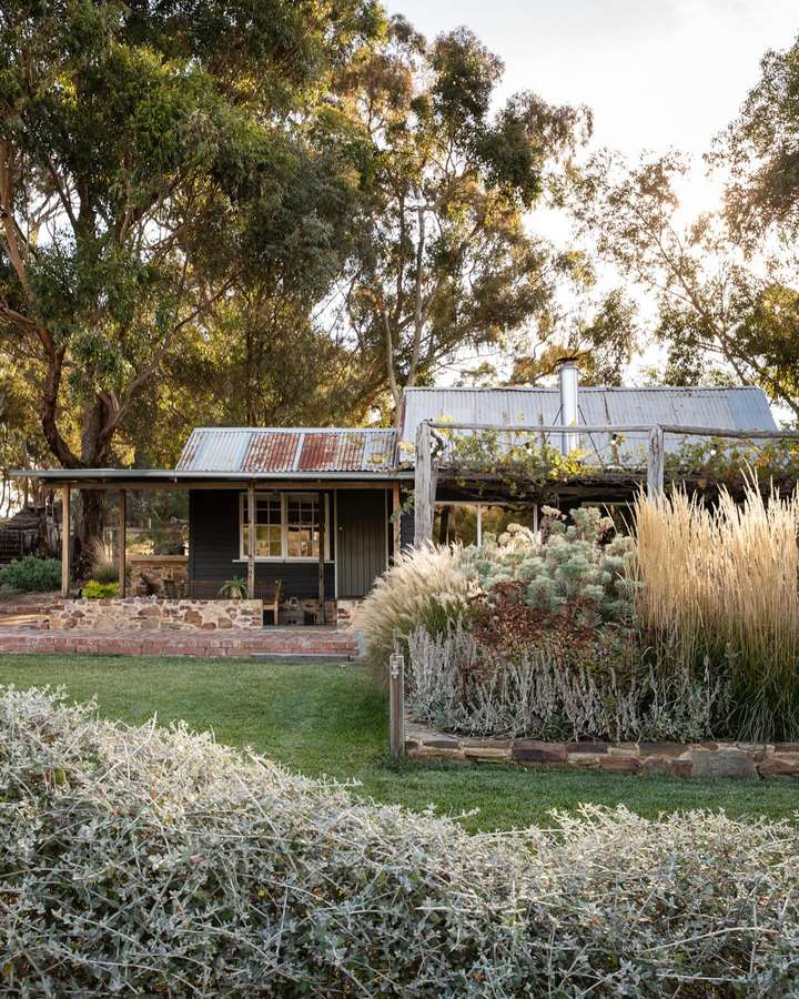 A dark timber cottage with a corrugated iron roof and a vine covered pergola, with a raised stone bed of grasses and silver foliage, a lawn and gum trees behind.