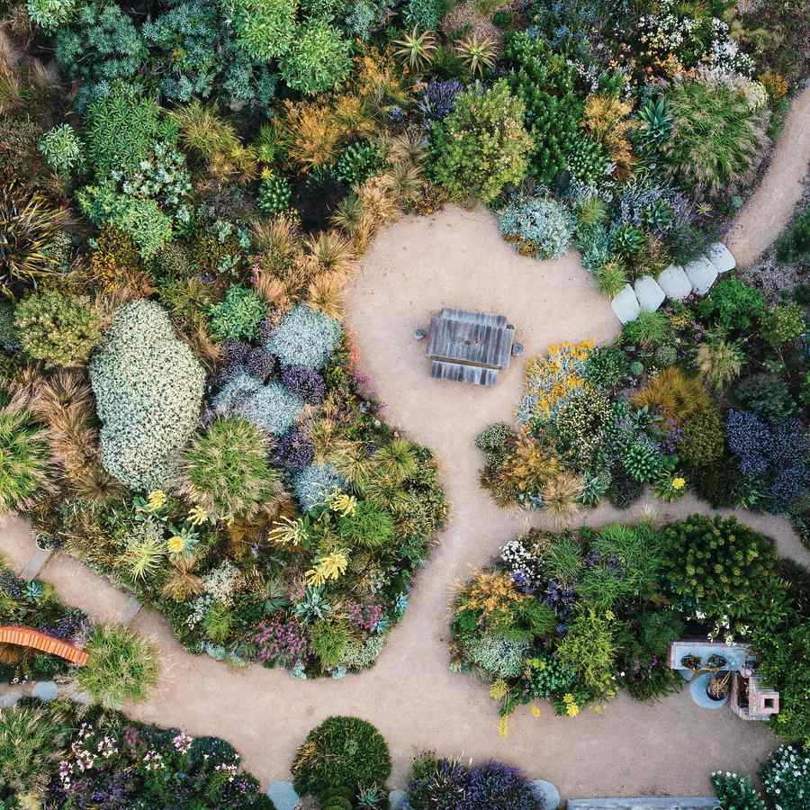 An overhead view of a garden of curving sand paths through dense beds of grasses, succulents and flowering shrubs, with a timber table at the centre.