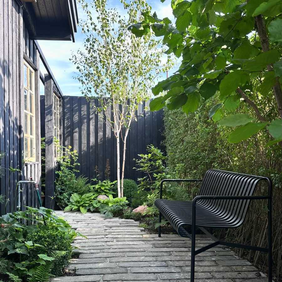 A path of long narrow stone pavers running beside a black timber garden building, with a black slatted metal bench, a young birch, hostas and ferns against a dark timber fence.