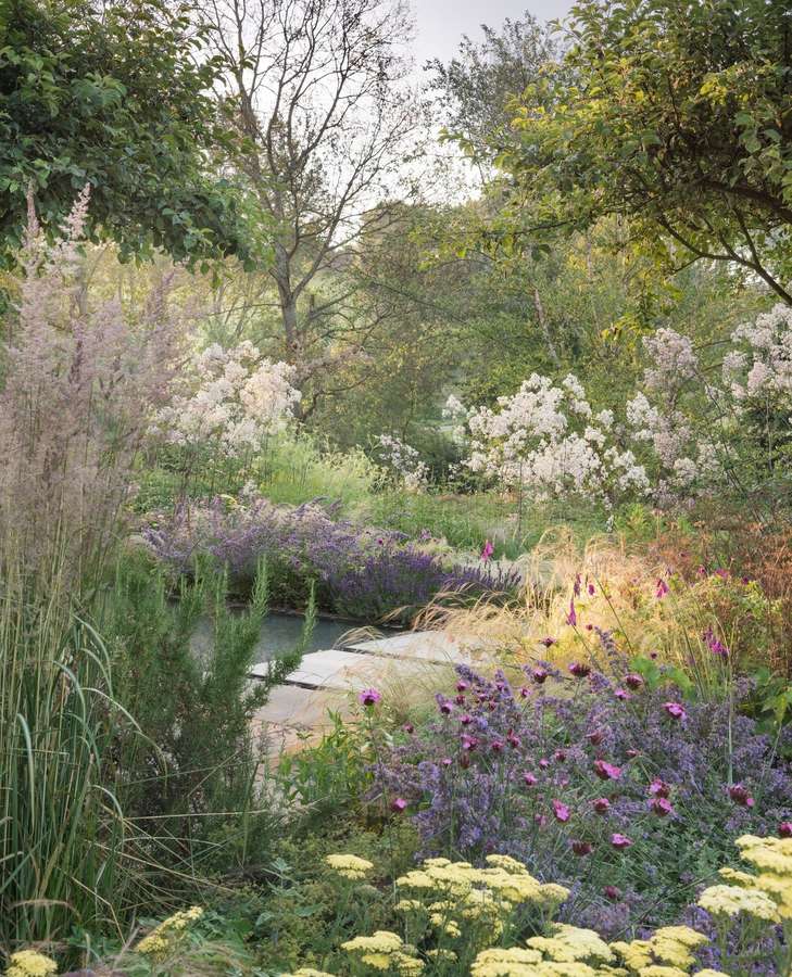 Deep beds of grasses, nepeta, yarrow and magenta flowers on fine arching stems running down to a still pool with a pale stone terrace, with white flowering shrubs, trees and open country behind.