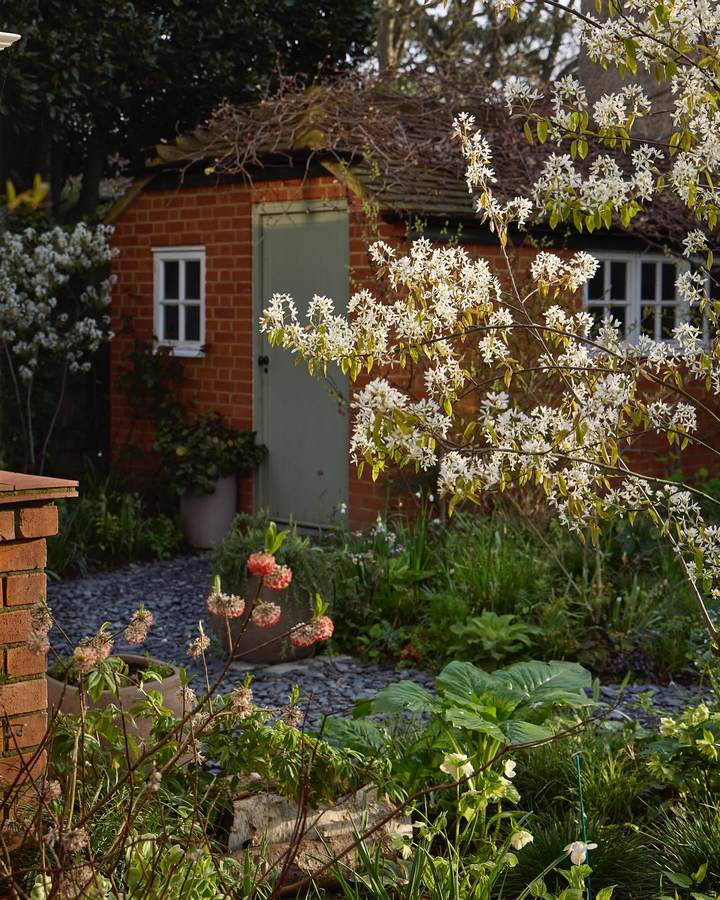 A red brick outbuilding with a pale green door behind a slate chipping path, with amelanchier in blossom, an edgeworthia in a pot and hellebores.