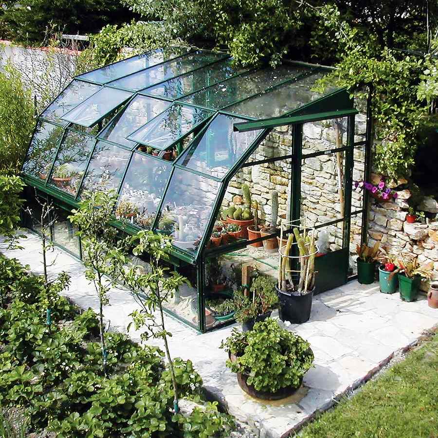 A dark green framed lean to glasshouse with a curved eave built against a dry stone wall, with cacti and succulents inside, potted plants on a pale stone terrace and climbers overhead.