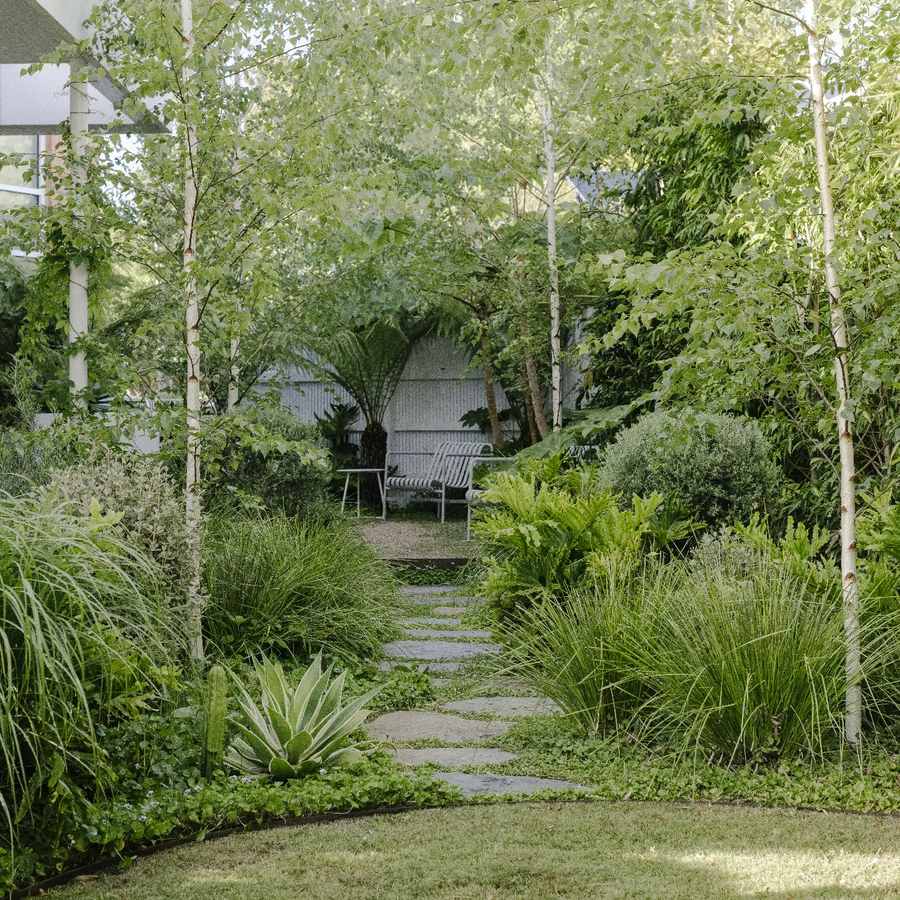 A path of stone slab steppers set in groundcover, running between birches, grasses, ferns and an agave, from a mown lawn to a pale metal bench and side table against a fence, with a tree fern behind.