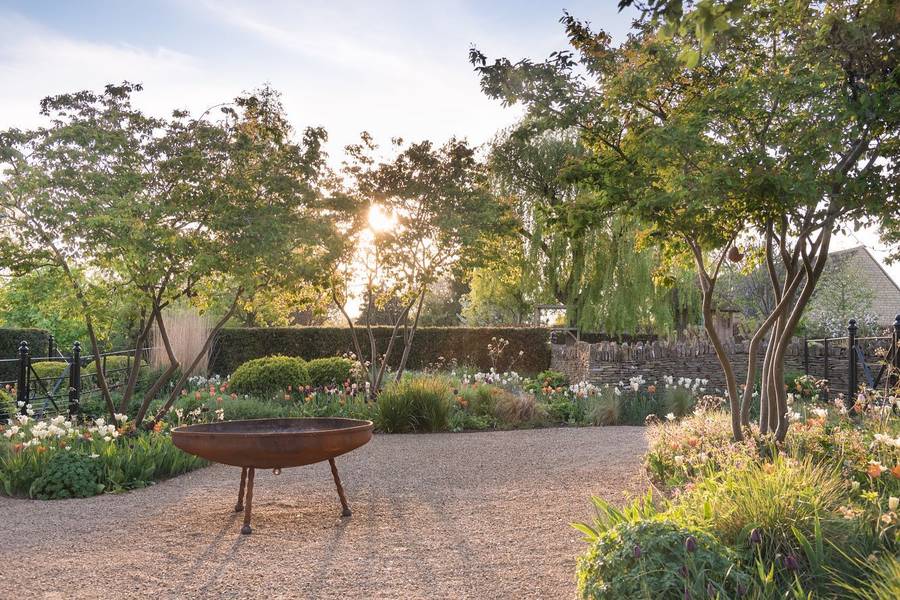 A gravel clearing with a rusted steel fire bowl on three legs, surrounded by beds of tulips, narcissi and grasses, multi stemmed trees, a clipped hedge, a dry stone wall and black estate fencing, with low sun behind the trees.