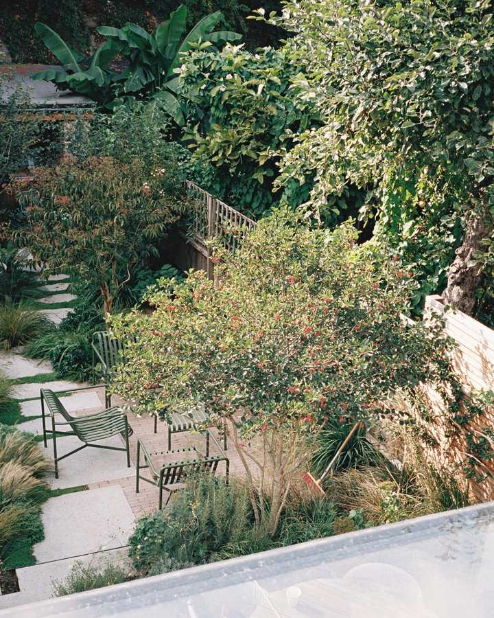 A view down onto a narrow town garden with a brick paved terrace, dark green slatted metal chairs and a bench, a multi stemmed shrub covered in red berries, pale slabs with narrow planted green joints, grasses and tall banana like plants, a timber fence at one side and a climber covered wall behind.