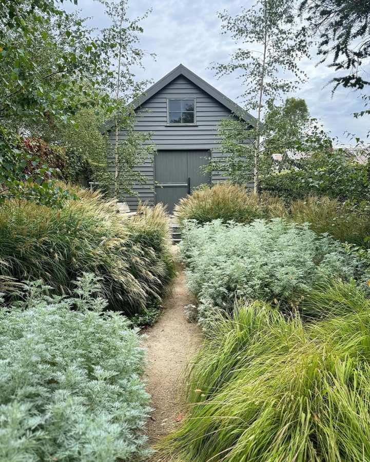 A narrow path running through tall grasses and silver planting towards a grey timber barn.