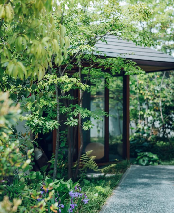 A paved path running beside a house with deep dark eaves, screened by leaves and shrubs.